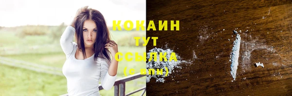 шишки Абинск