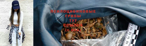 СК Пересвет