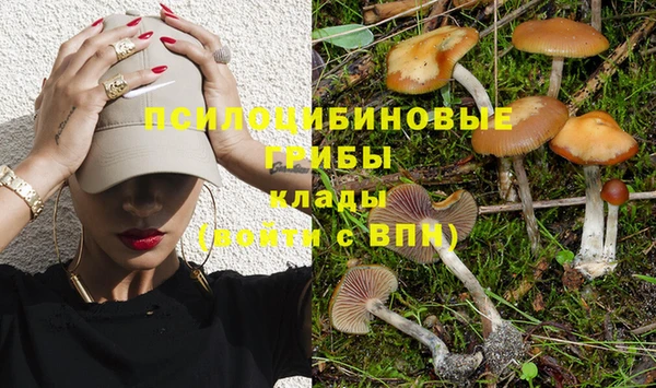 соль курить ск Абаза