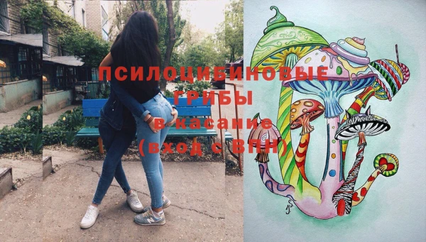 шишки Абинск