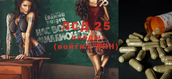 шишки Абинск