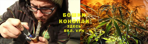 шишки Абинск