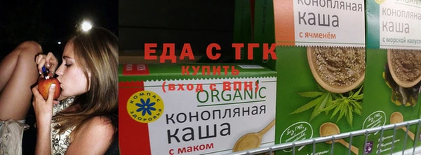 шишки Абинск