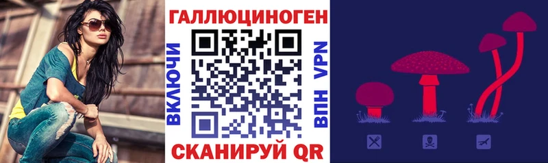 mega онион  Касимов  Галлюциногенные грибы прущие грибы 