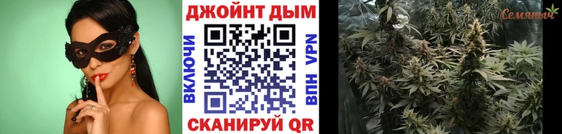 Каннабис VHQ  купить   Касимов 